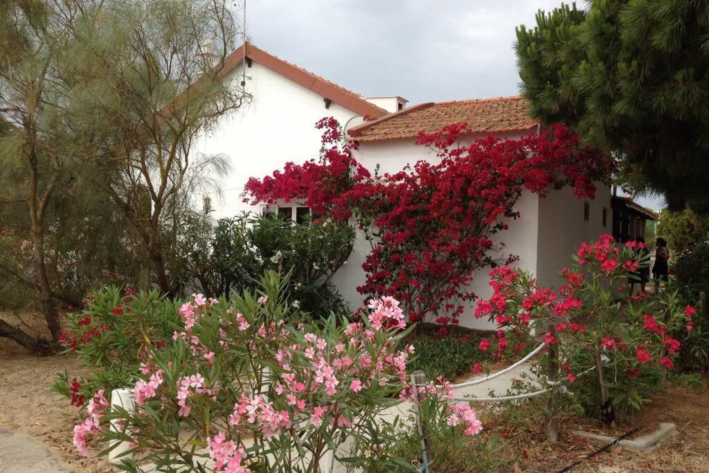 House - Island Tavira